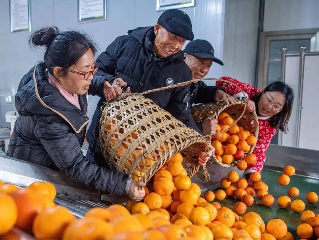 微信图片_20250119155711.jpg