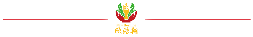 11111.png
