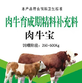1705908155930413.jpg