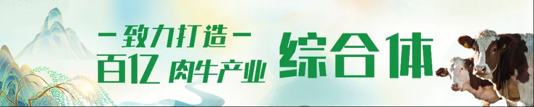 1723451097795.png