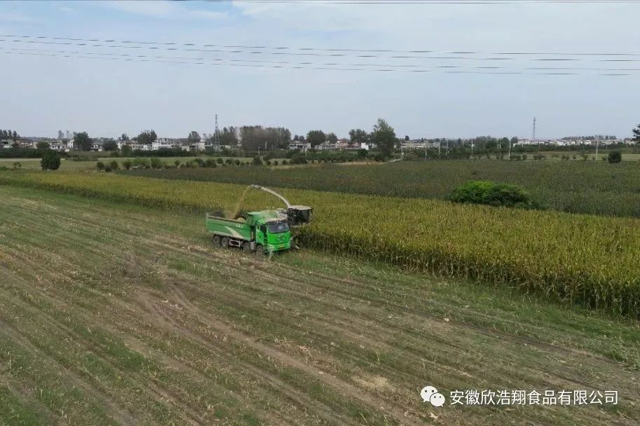 微信图片_20241214140421.jpg