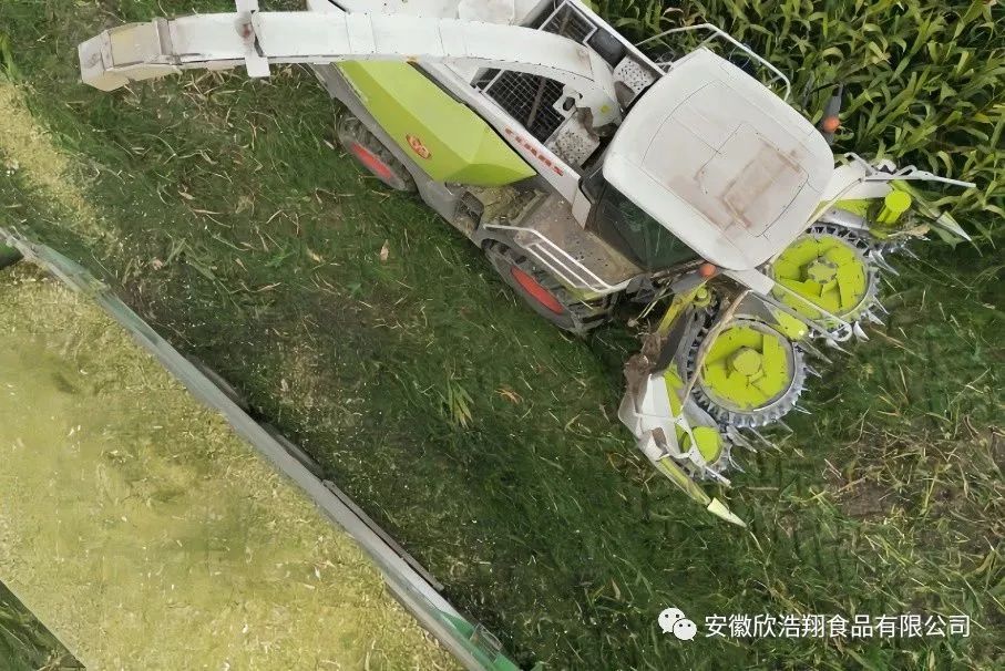 微信图片_20241214140541.jpg